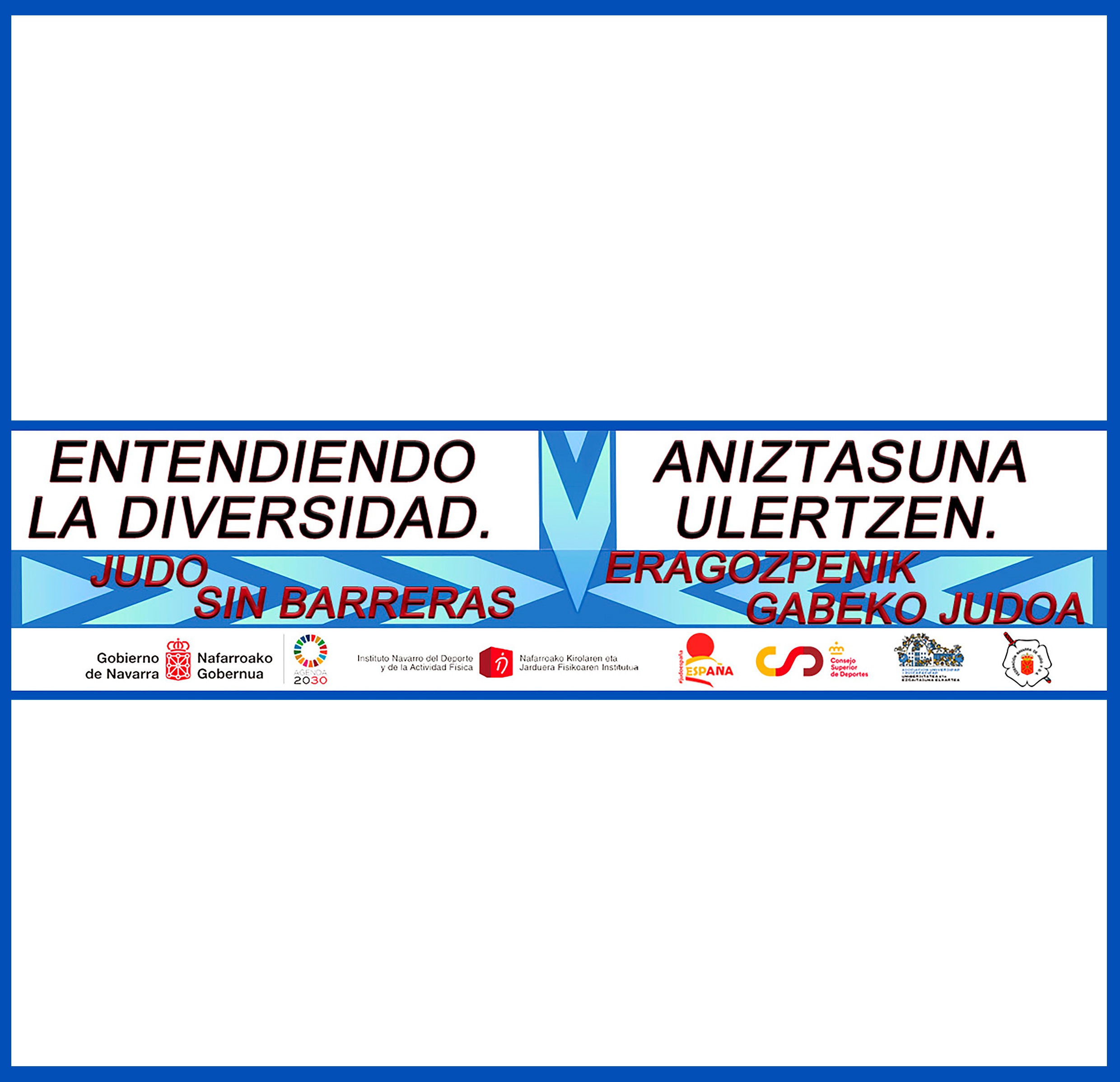 Gran acogida del Seminario "Entendiendo la diversidad. Judo Sin Barreras" Pamplona 26-10-24